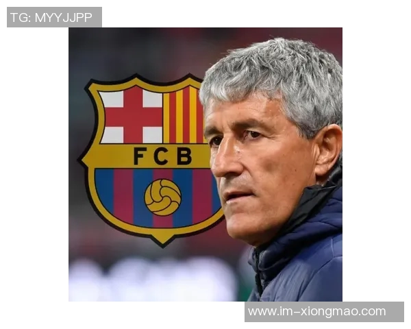 基克塞蒂恩先生离任公告及对未来发展的展望